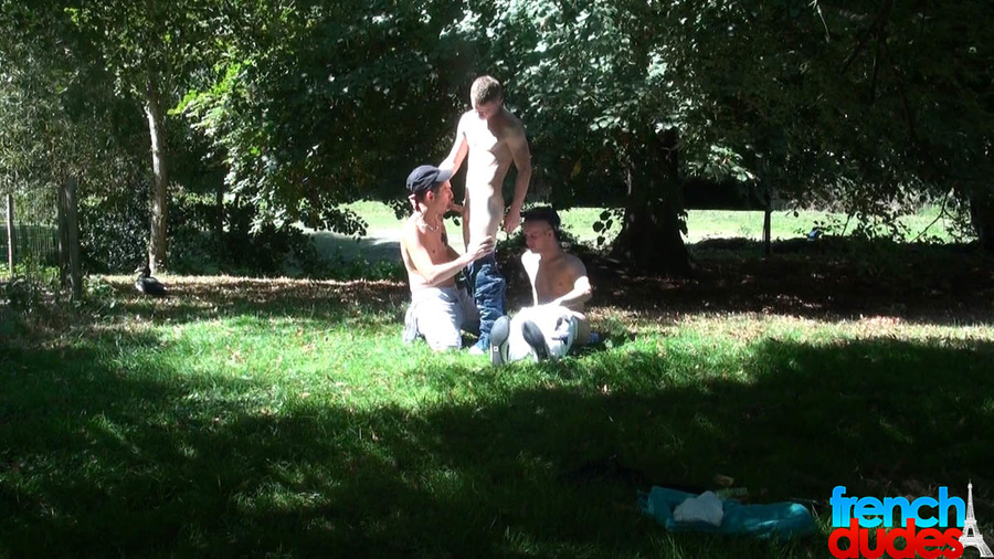 Three gay dudes having dirty fun in the par - XXX Dessert - Picture 11