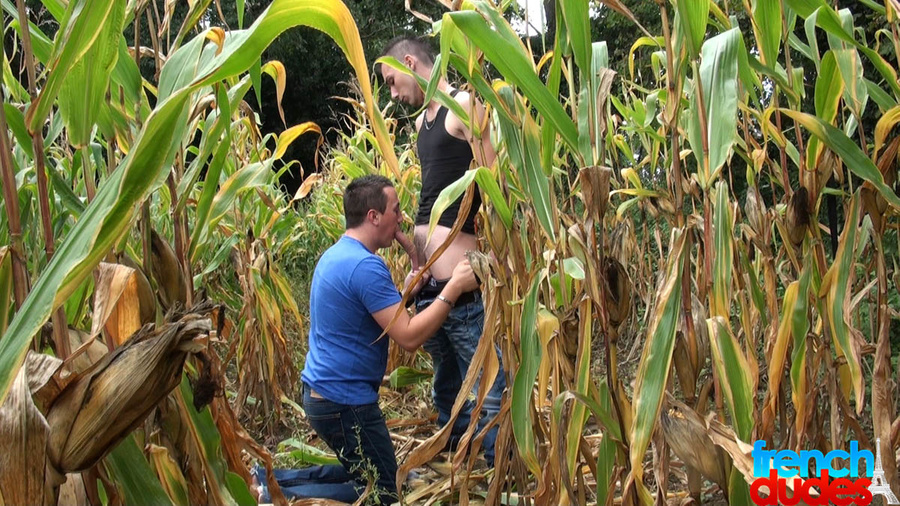Gay dude in blue T-shirt sucking man's meat - XXX Dessert - Picture 3