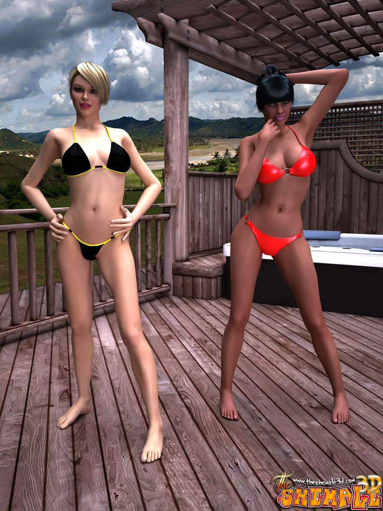 Shemales Sexy Bikini Girls - Two gorgeous shemales in bikini having - Silver Cartoon - Picture 4