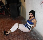 Hot brunette babe in a blue top with her tits out hogtied and with a gag-ball