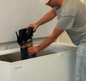 Poor bound and gagged brunette full dressed girl struggling trying to