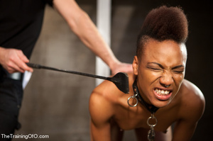 This small-titted black bitch with short-hair loves hard dirty banging with ropes and different bdsm toys - Picture 1