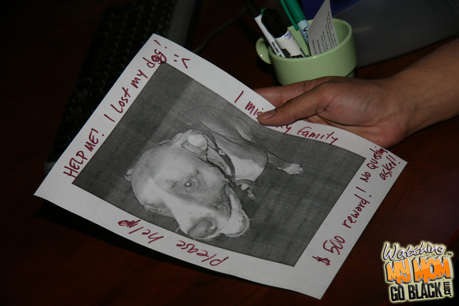 Hungry dark haired MILF eats big black sauc - XXX Dessert - Picture 1