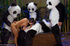 Dudes in panda fancy dresses fucked eagerly cool brunette babe