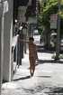 beautiful nude chick causing