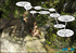Untamed forest ready for a hard knocking spectacular sexpertize