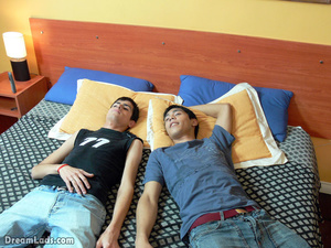 Two teen gay friends satisfying their sexual appetite on bed by sucking,fucking - Picture 1