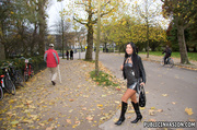 Park angelica