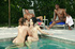 Lecherous wife gets neighbor's wife to ride her husband's deliciously