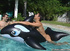 Water fun and games as cute gay friends have fun in water and later on