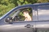 Broken down car helps Evans meet cute kind man that ends up fucking him