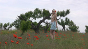 Slim blonde teen chick relaxing on the poppies field naked