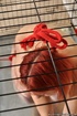 Bound and locked in a cage, a red haired bitch teases with her fat juicy