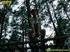 Half naked teen walks on a ladder proped on two cars squats and relieves