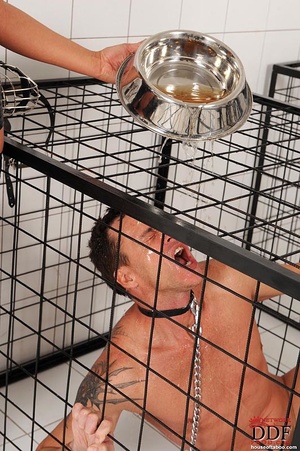 Busty brunette dom cages a naked man sub then she pisses over sub on the cage and the sub licks her piss and butt thru the cage - Picture 14