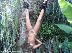 Cool tribe girl roped upside down to the tree with her body oiled with ketchup - XXXonXXX - Pic 5