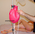 Three teen chicks covered with green paint with enemas in their assholes