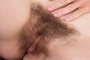 Naughty girl strips off to give an erotic show displaying her sexy hairy pussy