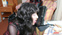Cock hungry crossdressers display their alluring ways of making it out