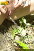 Cute red head in glasses gets nude and sits down on grasses to jet out