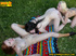 Hot blonde, sexy redhead and black hair chick enjoy lesbian fun before