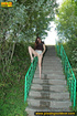 Hot chick raises short skirt to piss on steps before cleaning pussy on