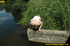 Hot blonde on nature stroll takes hot piss on stone ledge to river below