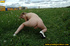Naughty chick out on the green takes off dress and spray piss on the grass