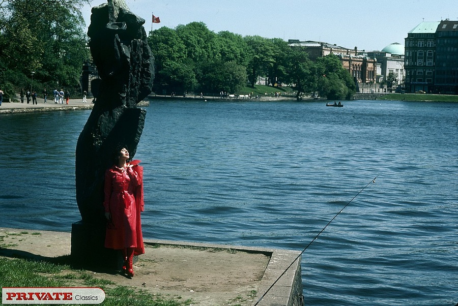 Huge collection of the hottest retro models - XXX Dessert - Picture 11