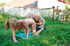Magnificent blonde teen getting her juicy pussy fingered by boyfriend's
