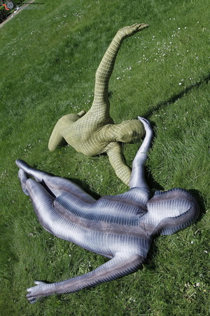 Two green and grey zentai wearing flexib - Picture 3