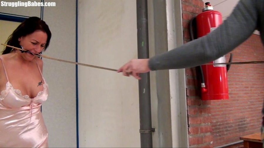 Older whore gets a rough bondage session of - XXX Dessert - Picture 5