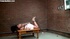 older whore gets rough