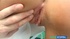 brunette chick gives head