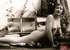 Some sexy and naked vintage chicks posing in the thirties