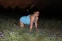 milf blow jobs gangbang