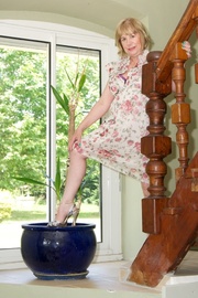 Mature Stockings Speedy Bee from United Kingdom