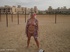 milf blow jobs barby