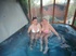 milf lesbian sex barby