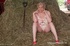 cougar speedy bee from