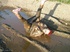 mud magic
