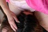 milf maid reba from