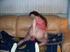 cougar feet moon aynjl