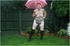 raining