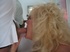 milf cum-on-tits ruth from