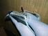 blue stockings