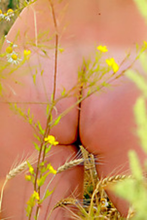 Busty ginger freshie enjoys good weather in the meadow being nude - Picture 10
