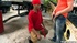 young buck
