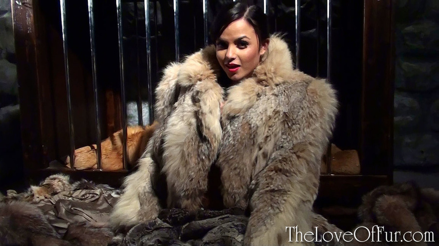 Dirty brunette babe encage with lots of var - XXX Dessert - Picture 12