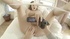 teen slut with shaggy